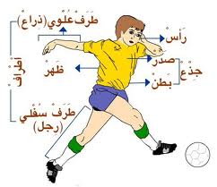 غرائب جــسم الانــسان