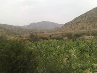 مقتطفات من قصائد طرق الجبل