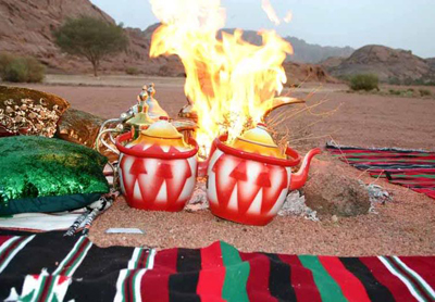 ماذا تفعل عند خروجك للبر ؟