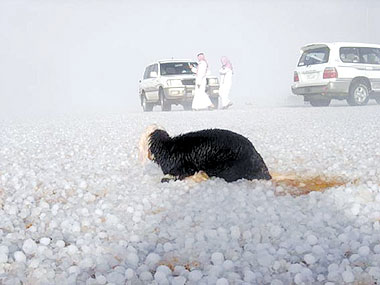 لا احد يسال متى يدخل البرد في السعوديه