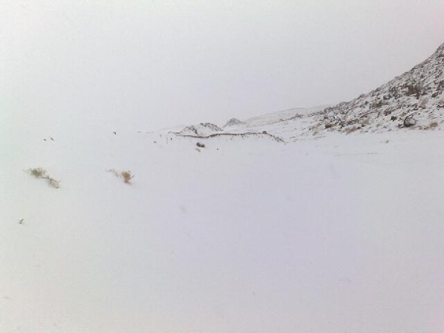 "الشريم": ثلوج تبوك من دلائل نبوة الرسول الكريم