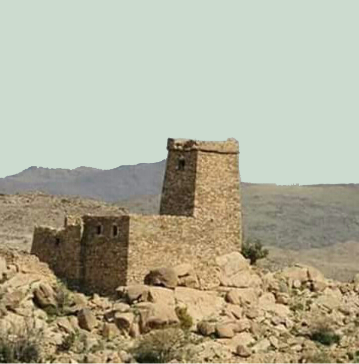 بني مالك مع الاتراك في معركة( فلح)