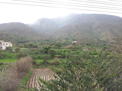 مناظر من بني مالك الطائف