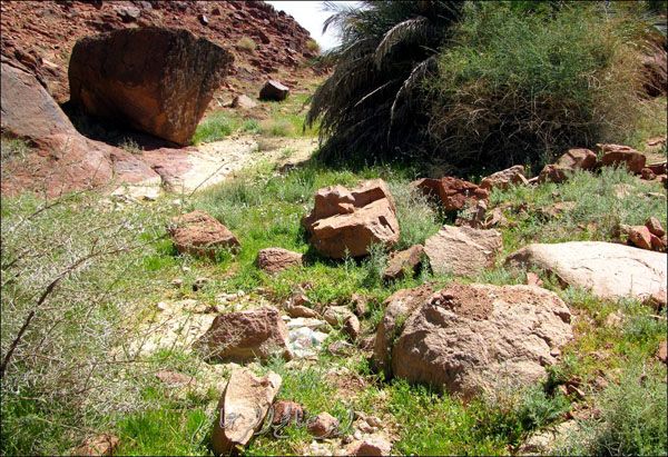 مدينة حائل - جبل اجا و سلمى