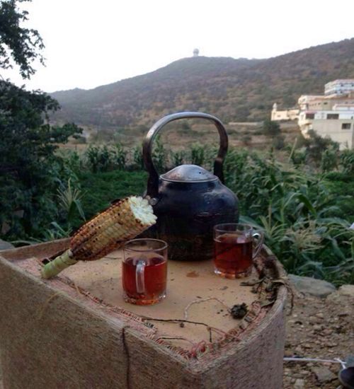 صور وحركات لايام الربيع