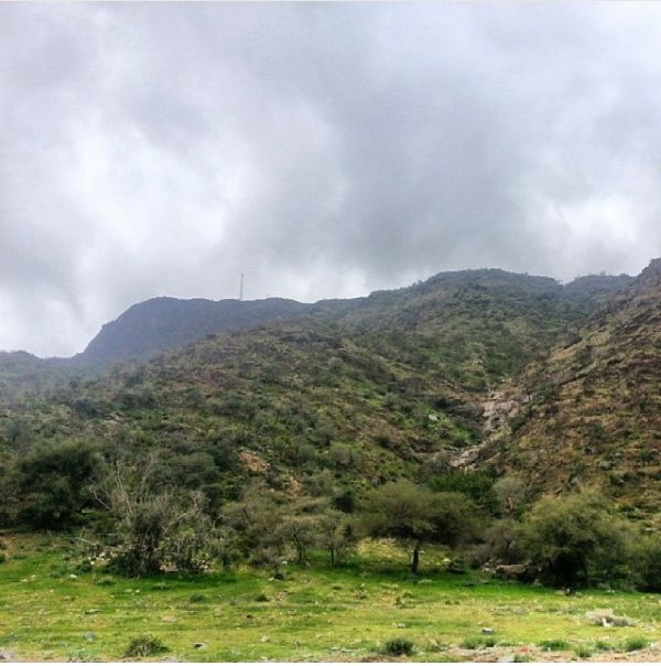 صور من الديره حديثه