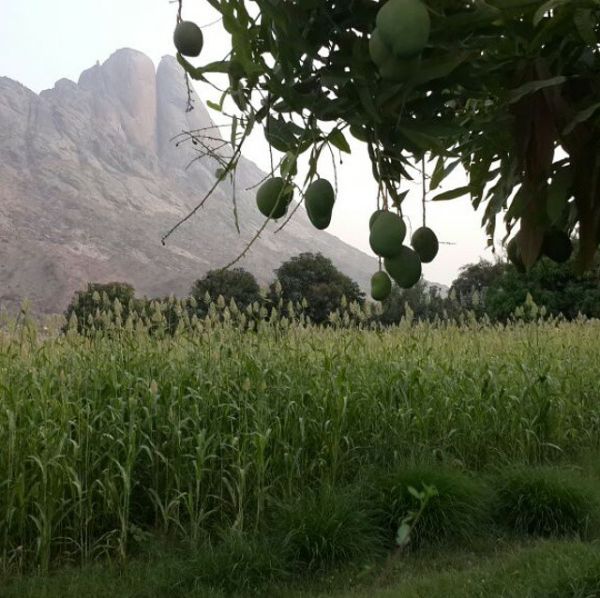 مناظر من بني مالك