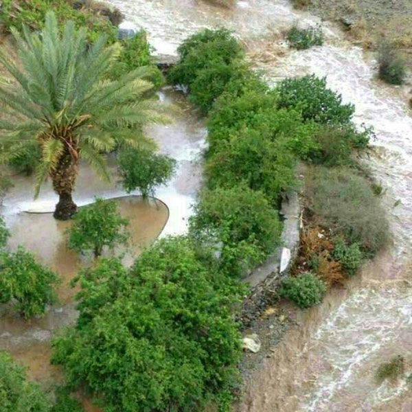 صور لديره بعد الامطار الاخيره