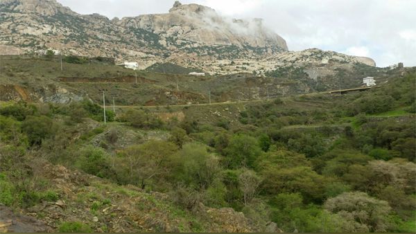 صور من بني مالك الطائف