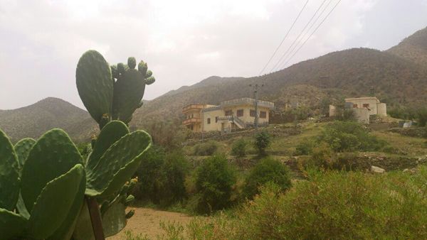 صور من بني مالك الطائف