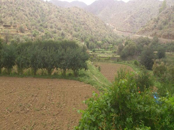 صور ومناظر من الديره حديثه