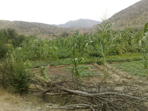 صور من بني مالك  الله يسقيها بالسيل