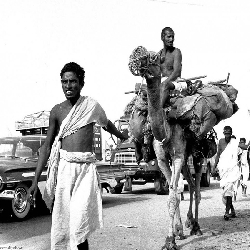الحج ايام زمان