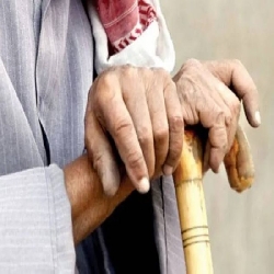 شيباننا منكم خذينا شهاده