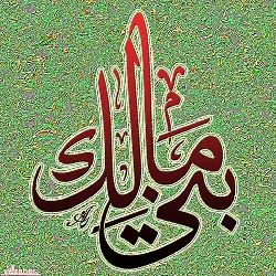 "المالكي" يشارك في مهرجان الإبل..