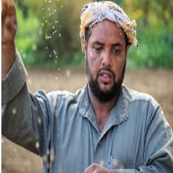 مزارعي بني مالك يحصلون على خمس جوائز للتميز