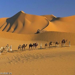 الإنجليزي بيركهارت يصف (وادي فاطمة) بمكة المكرمة سنة 1815م