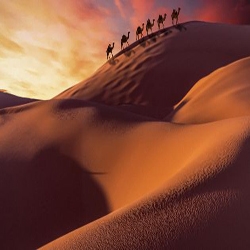 تاريخ العرب قبل الإسلام