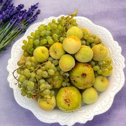 بعض من انتاج مزرعة المزارع السعيد محمد الحشري