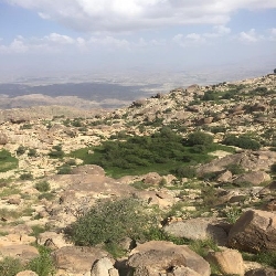 صور حديثه من بني مالك الطائف
