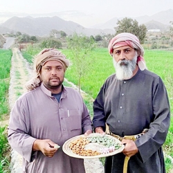 مزارعو الطائف لـ«عكاظ»: أين نسوّق منتجاتنا ؟